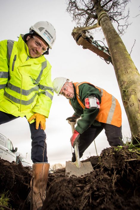 3. Trees – Paul Galloway